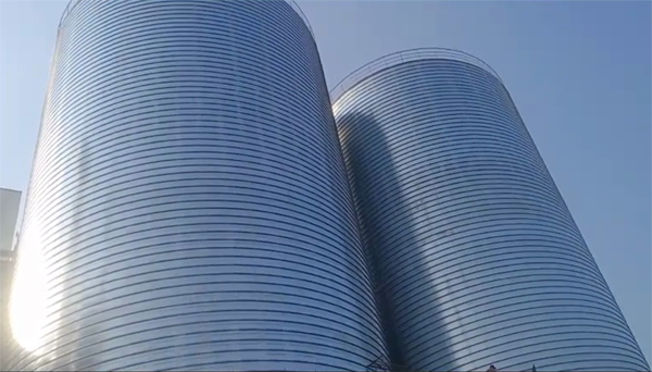 青铜峡2座混凝土高架卷板仓